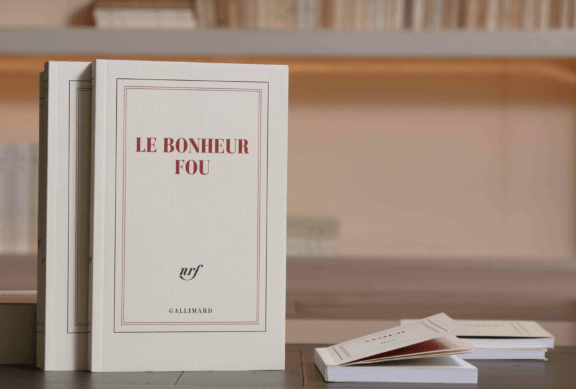 Papeterie Gallimard - Boutique We Are Paris