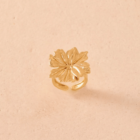 Bague Adonis - Boutique We Are ParisAgapée