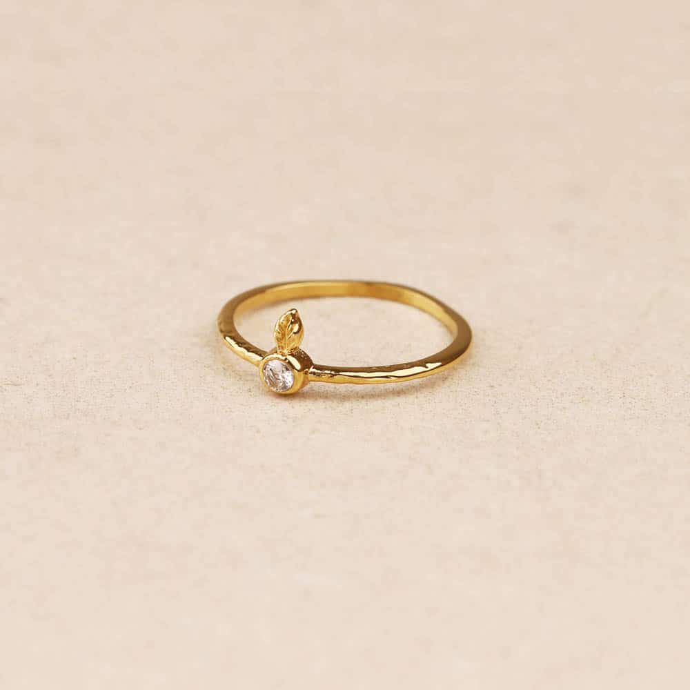 Bague Capucine - Boutique We Are ParisLes Cléias Acier Inoxydable
