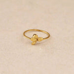 Bague Dalhia - Boutique We Are ParisLes Cléias Acier Inoxydable