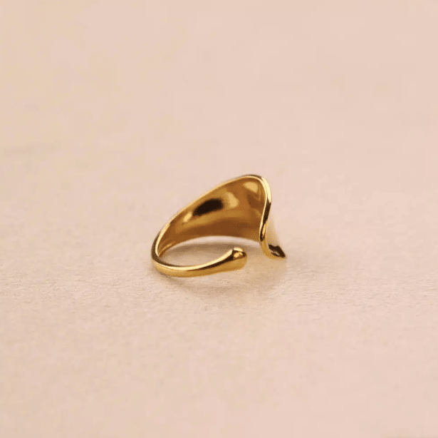 Bague Ondéa - Boutique We Are ParisLes Cléias Acier Inoxydable