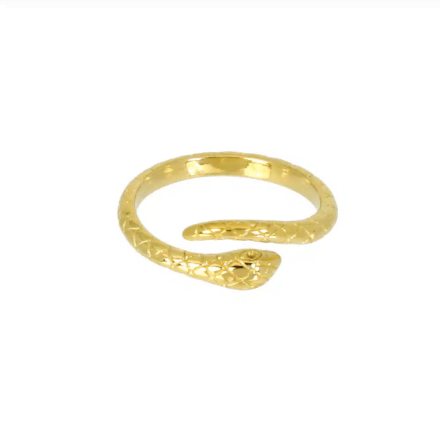 Bague Serpi - Boutique We Are ParisLes Cléias Acier Inoxydable