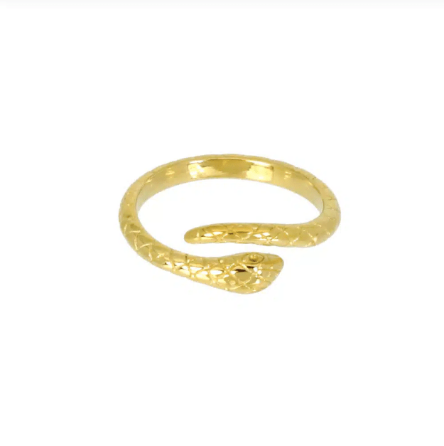 Bague Serpi - Boutique We Are ParisLes Cléias Acier Inoxydable