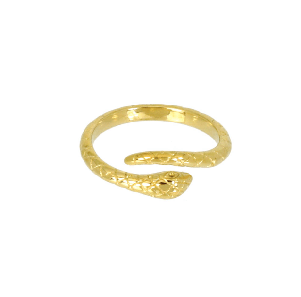 Bague Snake en acier inoxydable doré - Boutique We Are ParisLes Cléias Acier Inoxydable