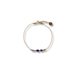 Bracelet Phoenix - Boutique We Are ParisLes Cléias Acier Inoxydable
