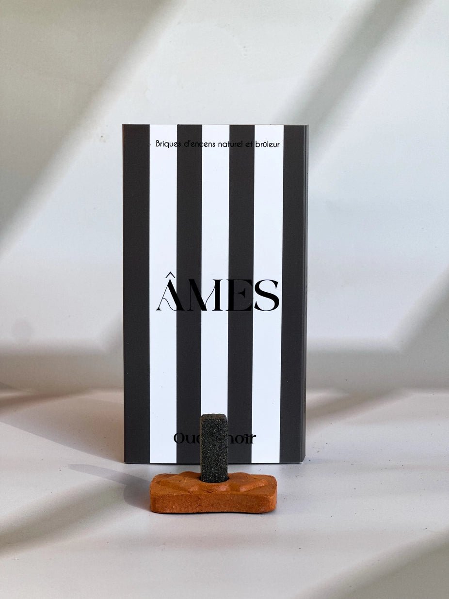 Briques d’encens naturel & brûleur - Boutique We Are ParisAmes