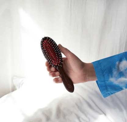 Brosse pneumatique en bois & poils de sanglier - Boutique We Are ParisL'Artisan Brossier