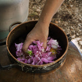 Brume botanique Rose de Provence - hydate et apaise - Boutique We Are ParisOden