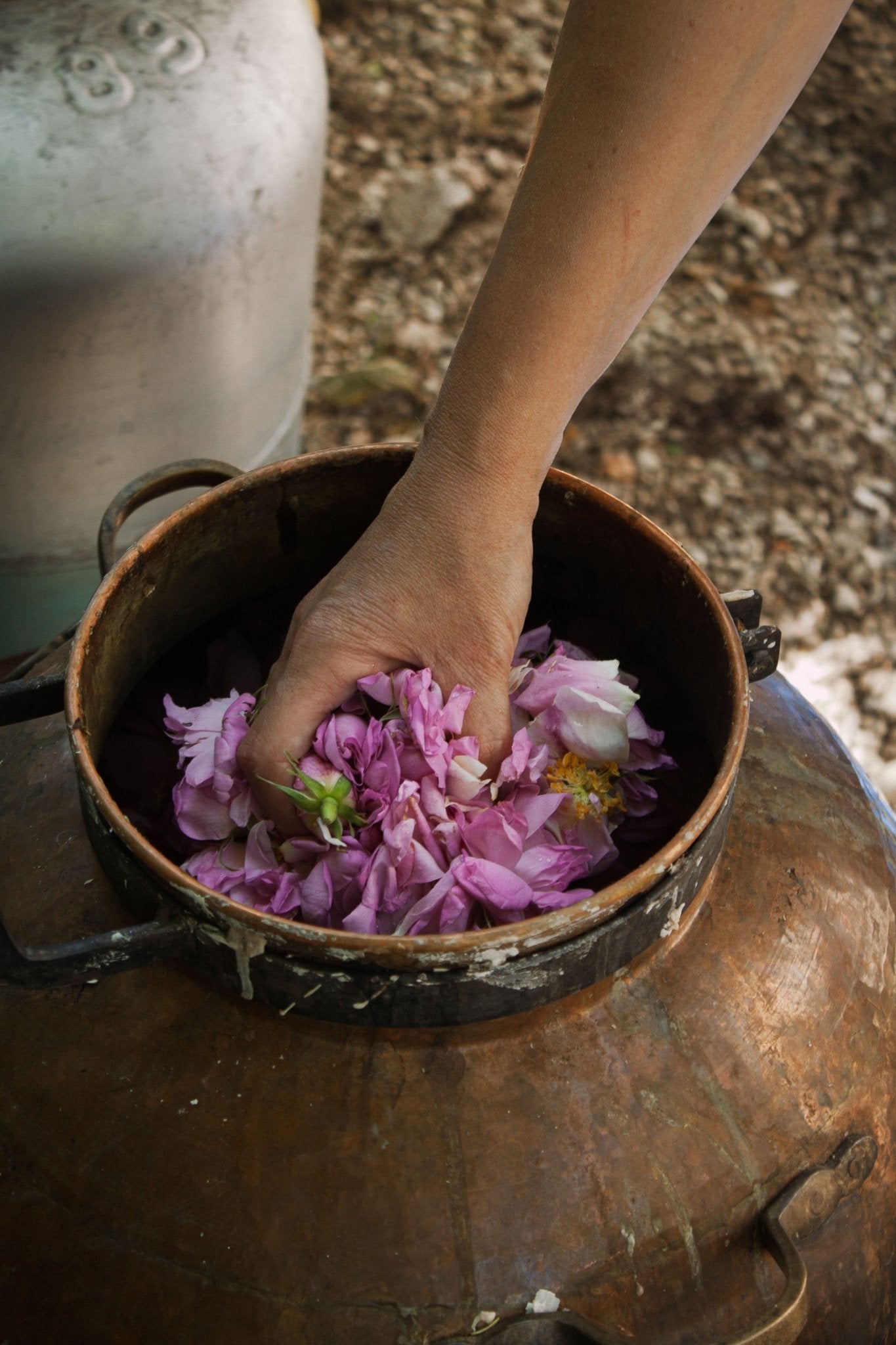 Brume botanique Rose de Provence - hydate et apaise - Boutique We Are ParisOden