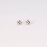 Clous d'oreilles Trèfle en acier inoxydable doré ou argenté - Boutique We Are ParisLes Cléias Acier Inoxydable