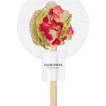 Coffrets de 4 infusions sur bâton - Boutique We Are ParisFleurs d'hiver