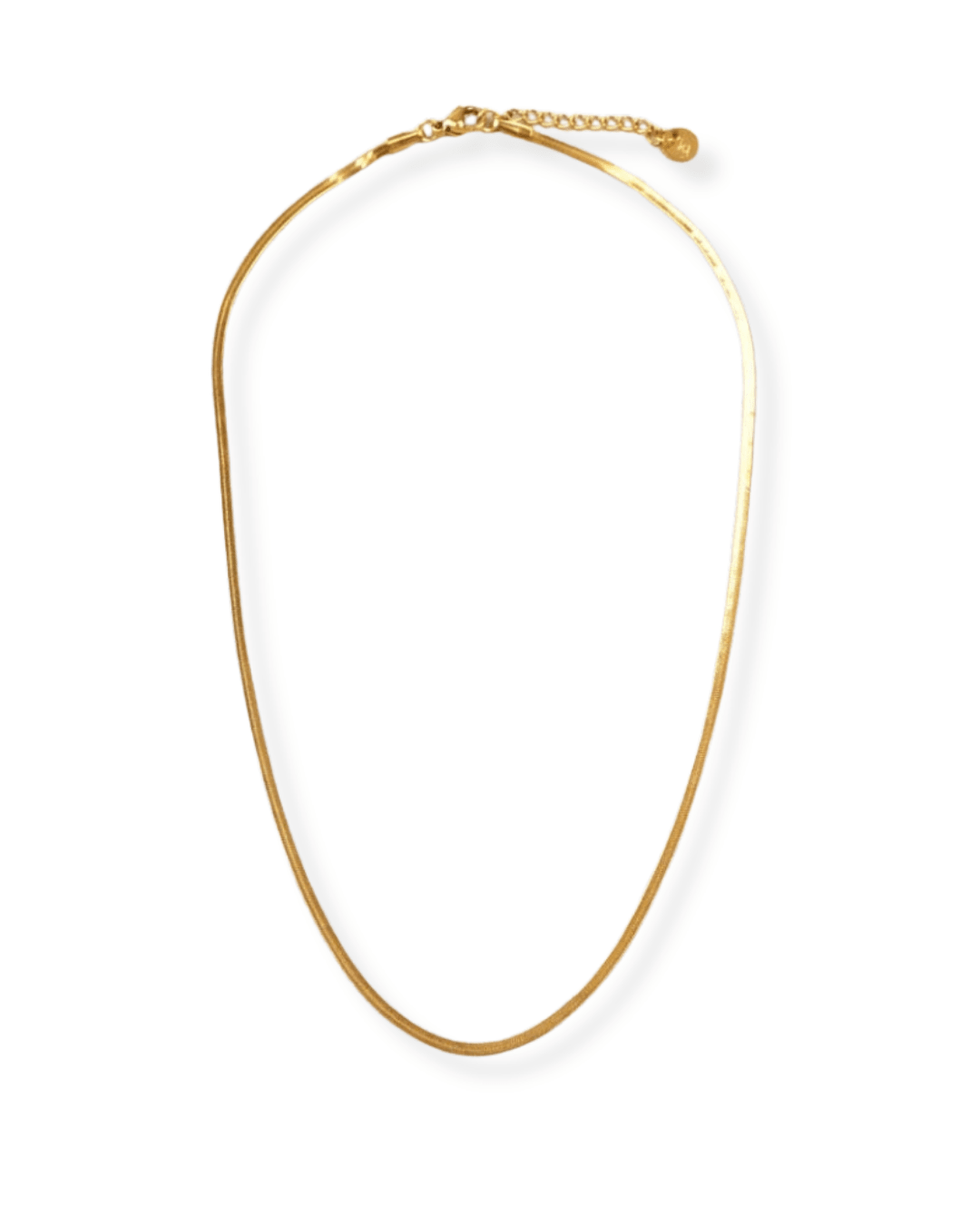 Collier Carla - Boutique We Are ParisLes Cléias Acier Inoxydable