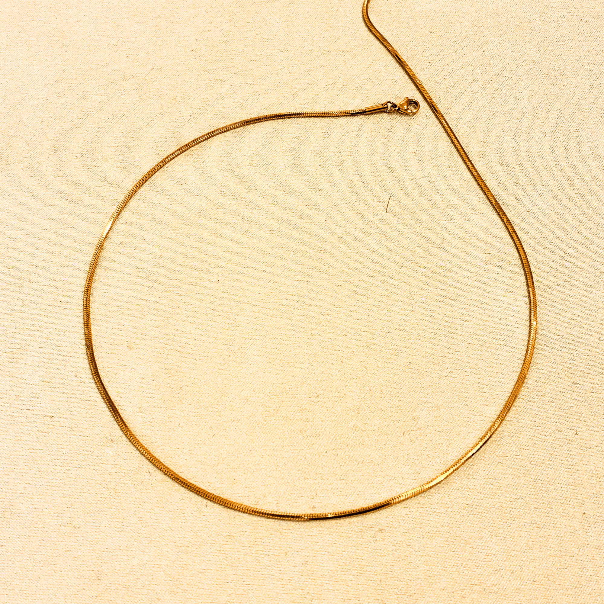 Collier Infini - Boutique We Are ParisLes Cléias Acier Inoxydable