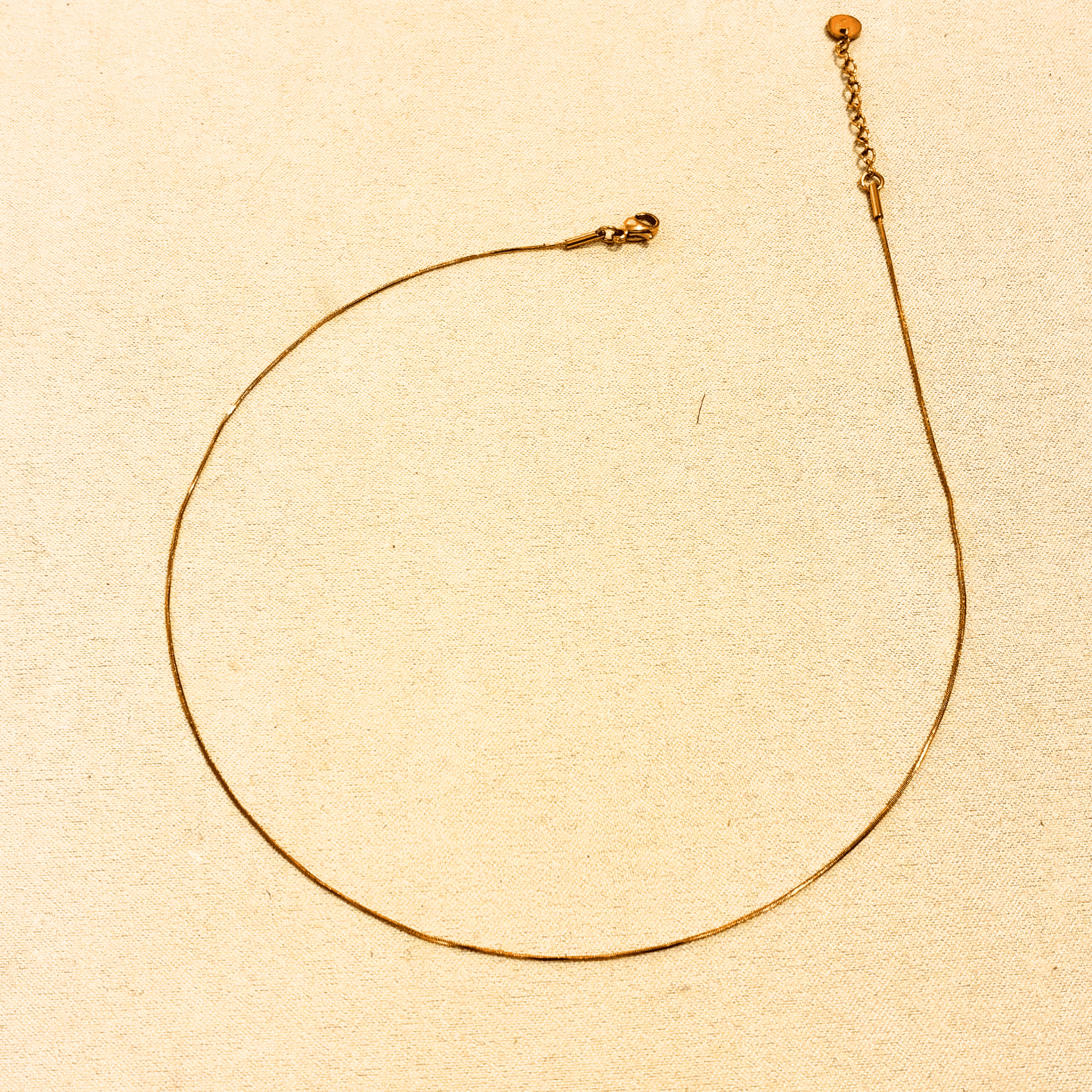 Collier Ligne - Boutique We Are ParisLes Cléias Acier Inoxydable