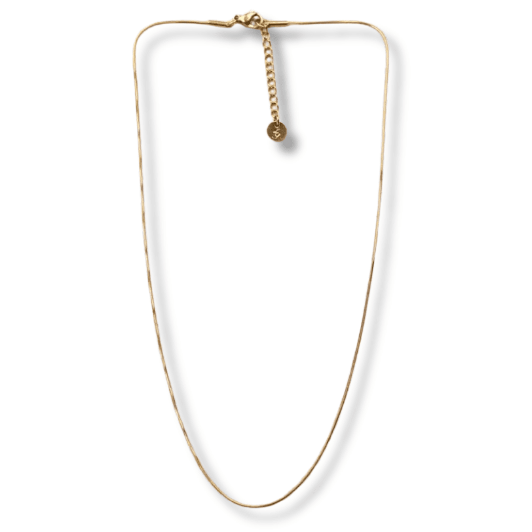 Collier Paulie - Boutique We Are ParisLes Cléias Acier Inoxydable