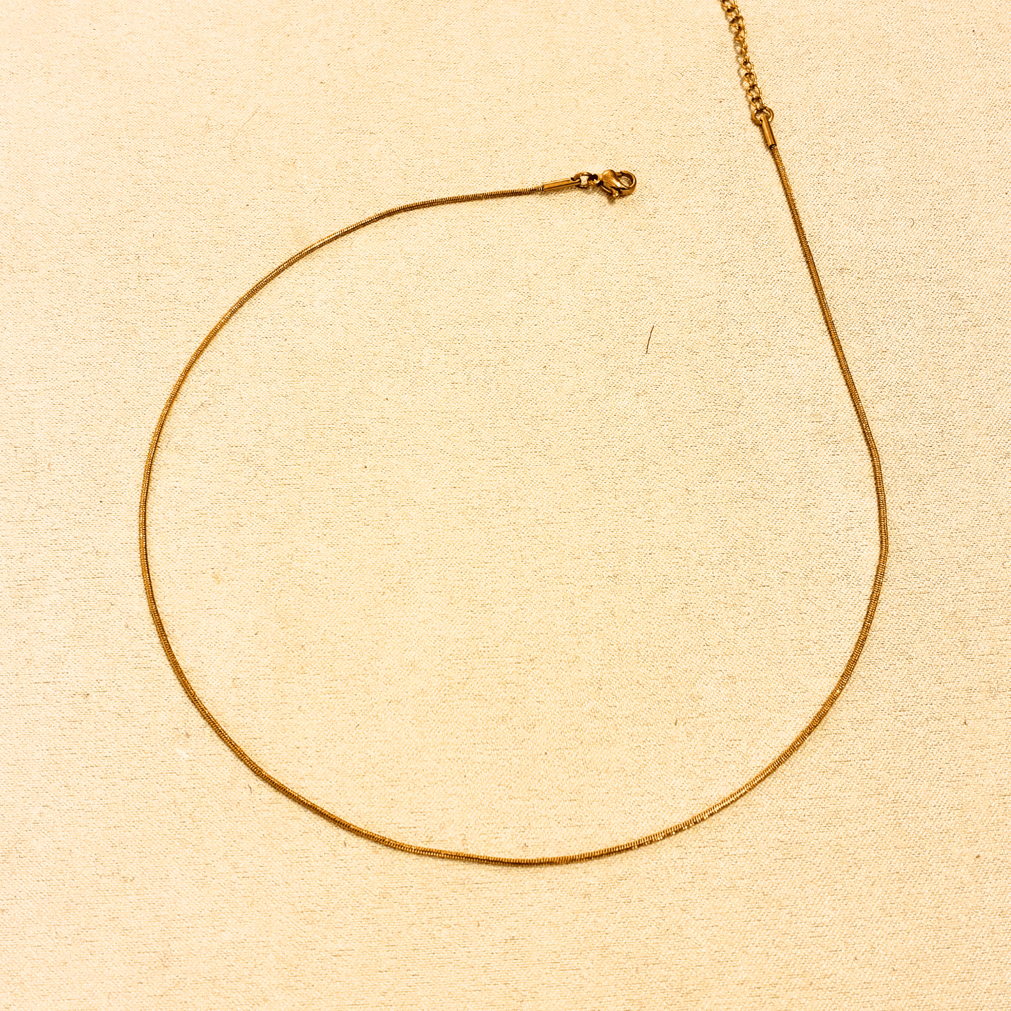 Collier Reflet - Boutique We Are ParisLes Cléias Acier Inoxydable