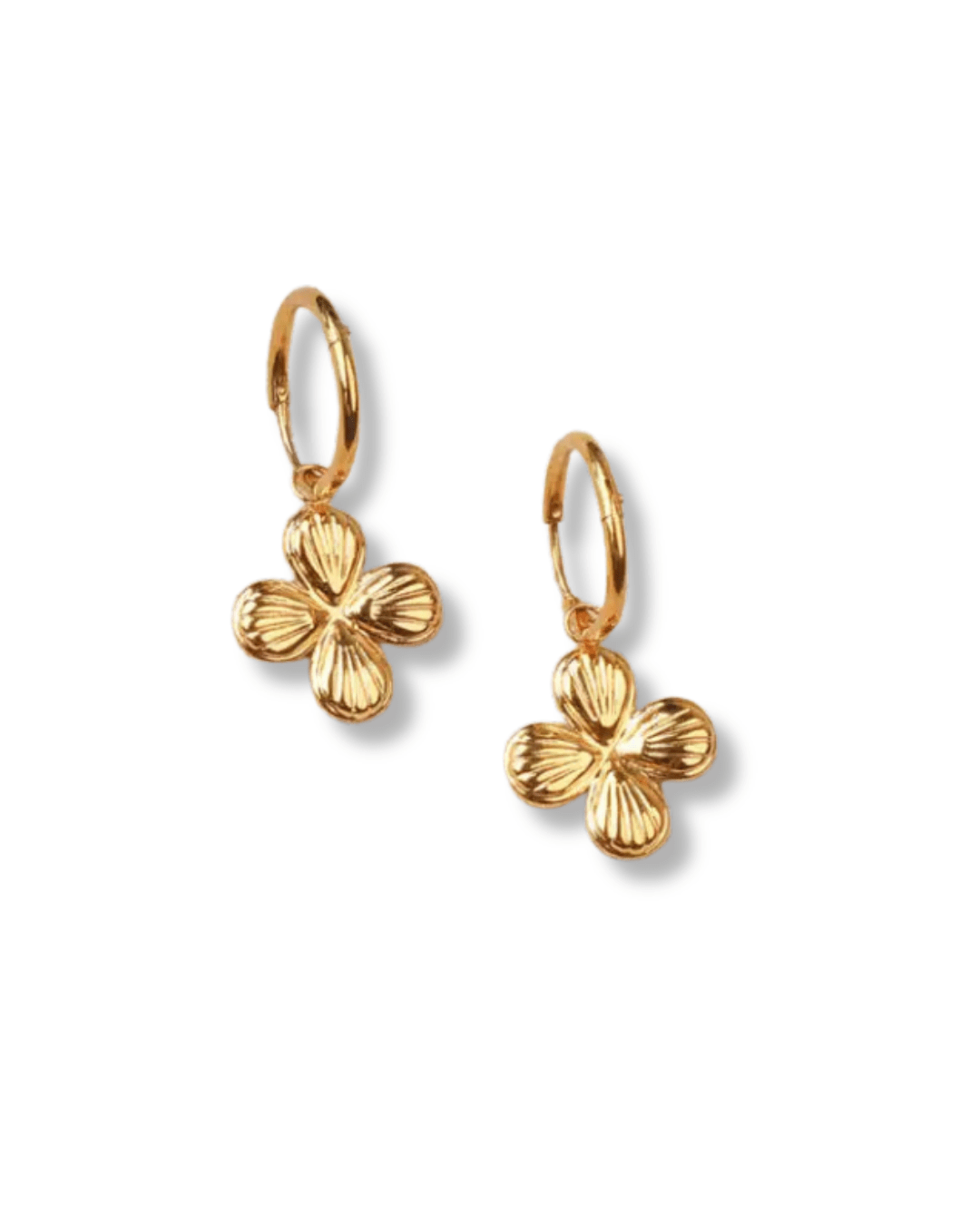 Créoles Rosalia - Boutique We Are ParisLes Cléias Acier Inoxydable