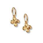 Créoles Rosalia - Boutique We Are ParisLes Cléias Acier Inoxydable