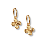 Créoles Rosalia - Boutique We Are ParisLes Cléias Acier Inoxydable