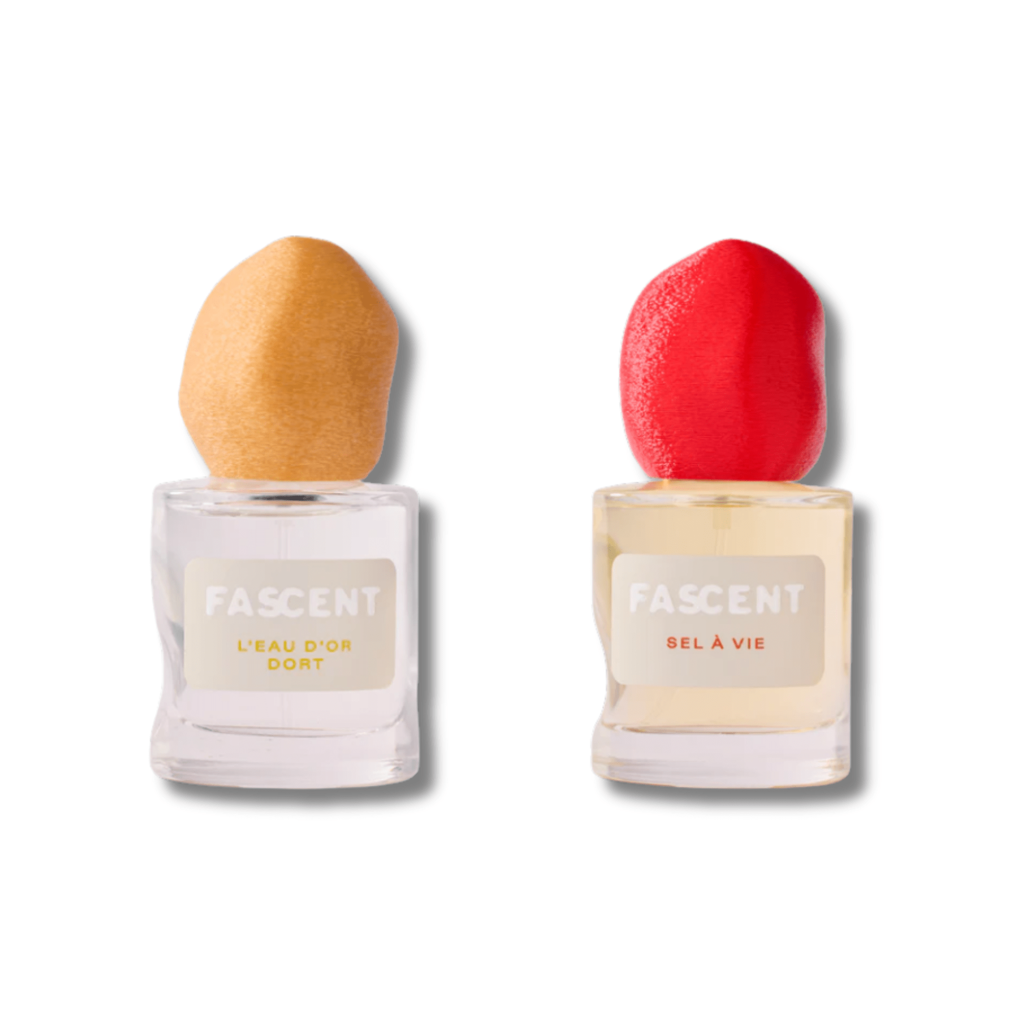 Duo de parfums Fascent - floral & solaire - Boutique We Are ParisFascent