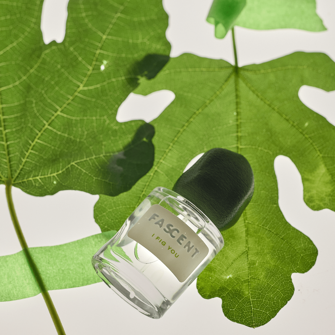 (eau de parfum rechargeable) I Fig You - Boutique We Are ParisFascent