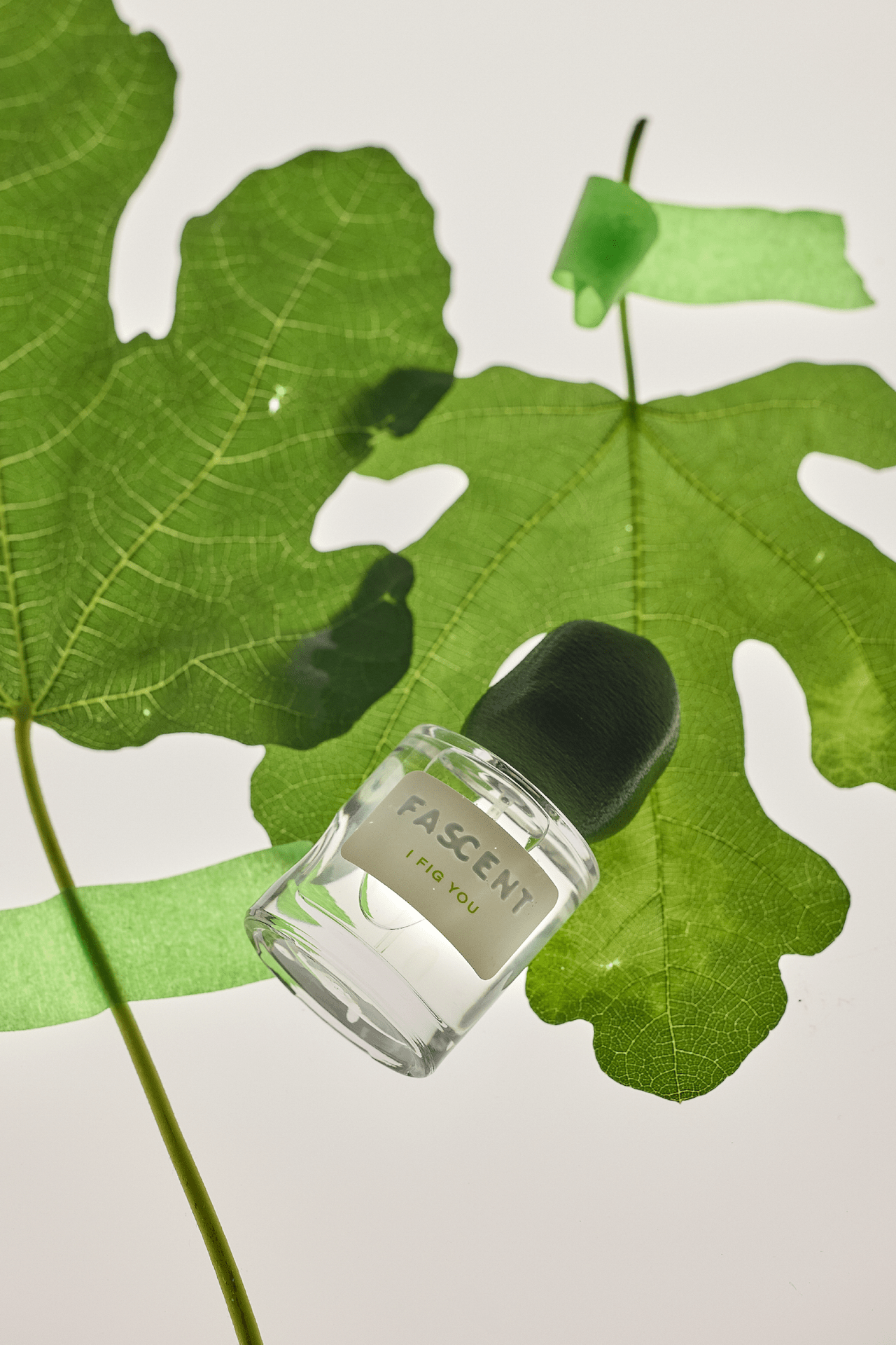 (eau de parfum rechargeable) I Fig You - Boutique We Are ParisFascent