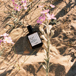 (extrait de parfum) Sea, Sud & Sun - Boutique We Are ParisVersatile