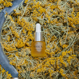 Huile d’Immortelle - Édition limitée - Boutique We Are ParisOden
