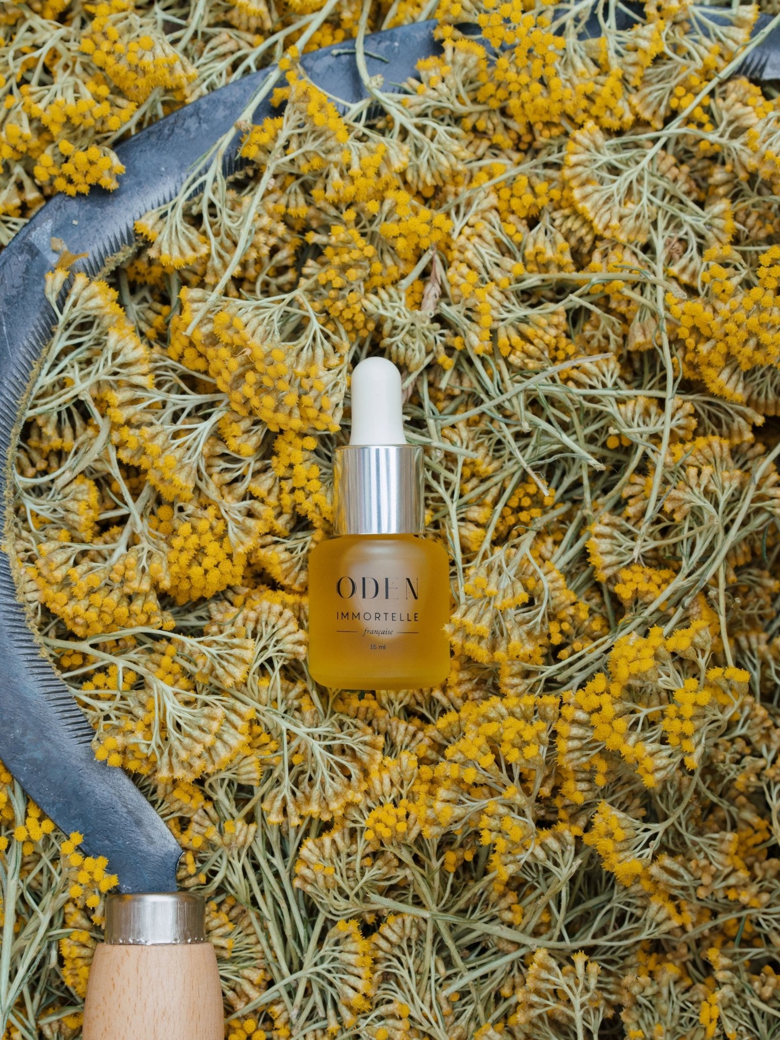Huile d’Immortelle - Édition limitée - Boutique We Are ParisOden