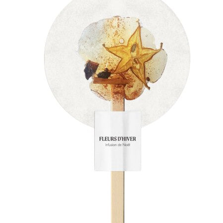 Infusion de Noël sur bâton - Boutique We Are ParisFleurs d'hiver