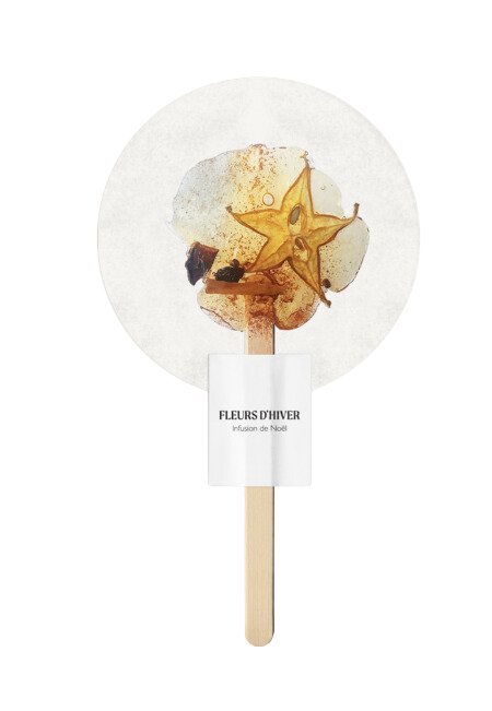 Infusion de Noël sur bâton - Boutique We Are ParisFleurs d'hiver