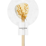 Infusion sur bâton Mimosa - Boutique We Are ParisFleurs d'hiver