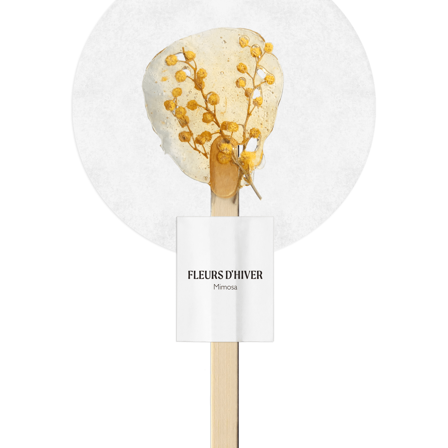Infusion sur bâton Mimosa - Boutique We Are ParisFleurs d'hiver