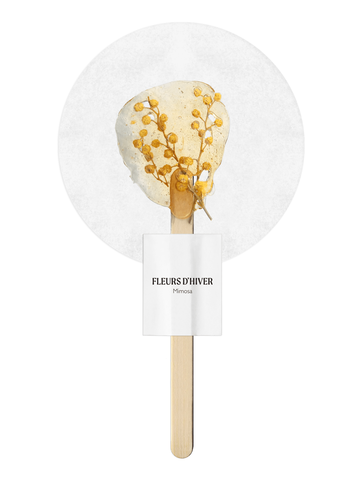 Infusion sur bâton Mimosa - Boutique We Are ParisFleurs d'hiver