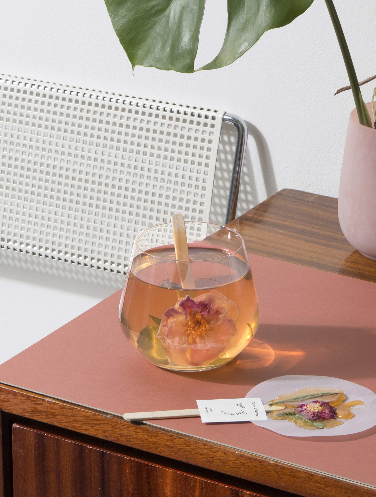 Infusion sur bâton Rose et Verveine - Boutique We Are ParisFleurs d'hiver