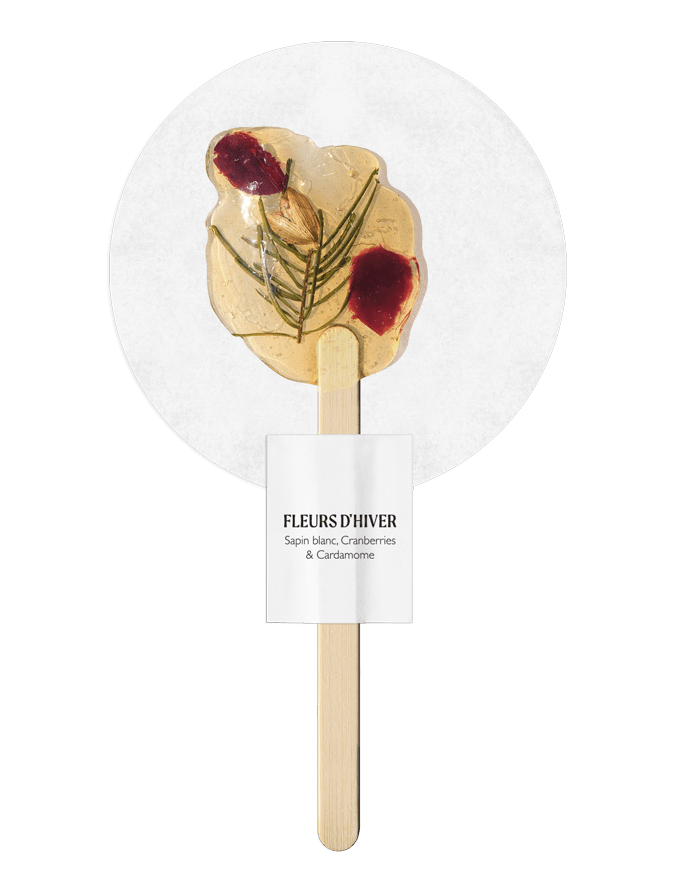 Infusion sur bâton Sapin blanc, Cranberries & Cardamome - Boutique We Are ParisFleurs d'hiver