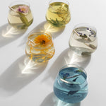 Infusion sur bâton Sureau & Menthe - Boutique We Are ParisFleurs d'hiver