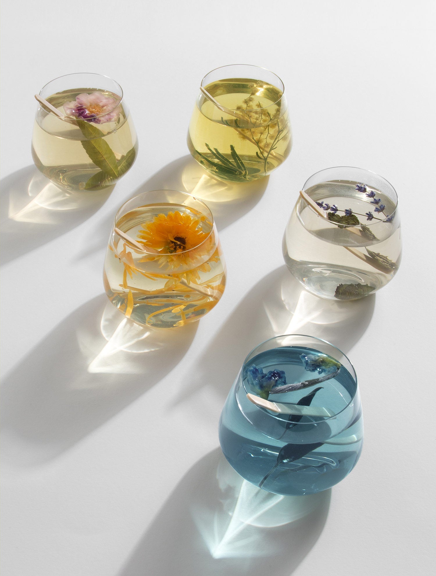 Infusion sur bâton Sureau & Menthe - Boutique We Are ParisFleurs d'hiver