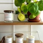 L'aromatique, bougie végétale parfumée au Pin des Landes - Boutique We Are ParisCollection We Are Paris