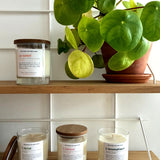 L'aromatique, bougie végétale parfumée au Pin des Landes - Boutique We Are ParisCollection We Are Paris