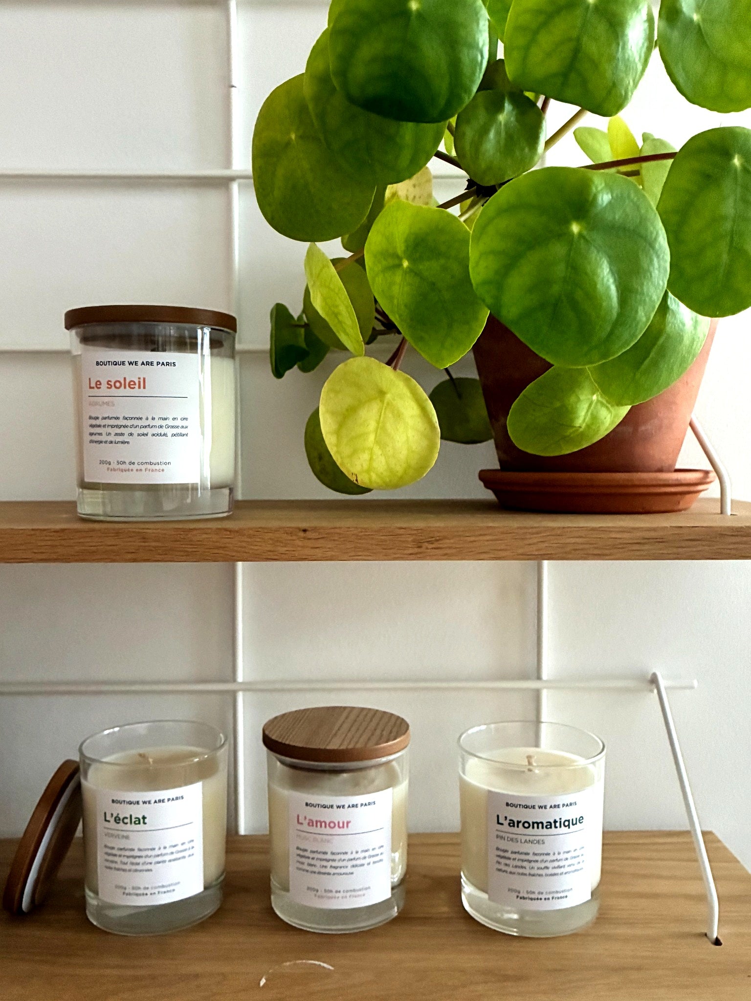 L'aromatique, bougie végétale parfumée au Pin des Landes - Boutique We Are ParisCollection We Are Paris