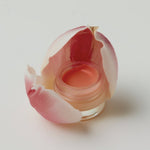 Le baume à lèvres à la rose sauvage pour nourrir et protéger - ODEN - Boutique We Are ParisOden