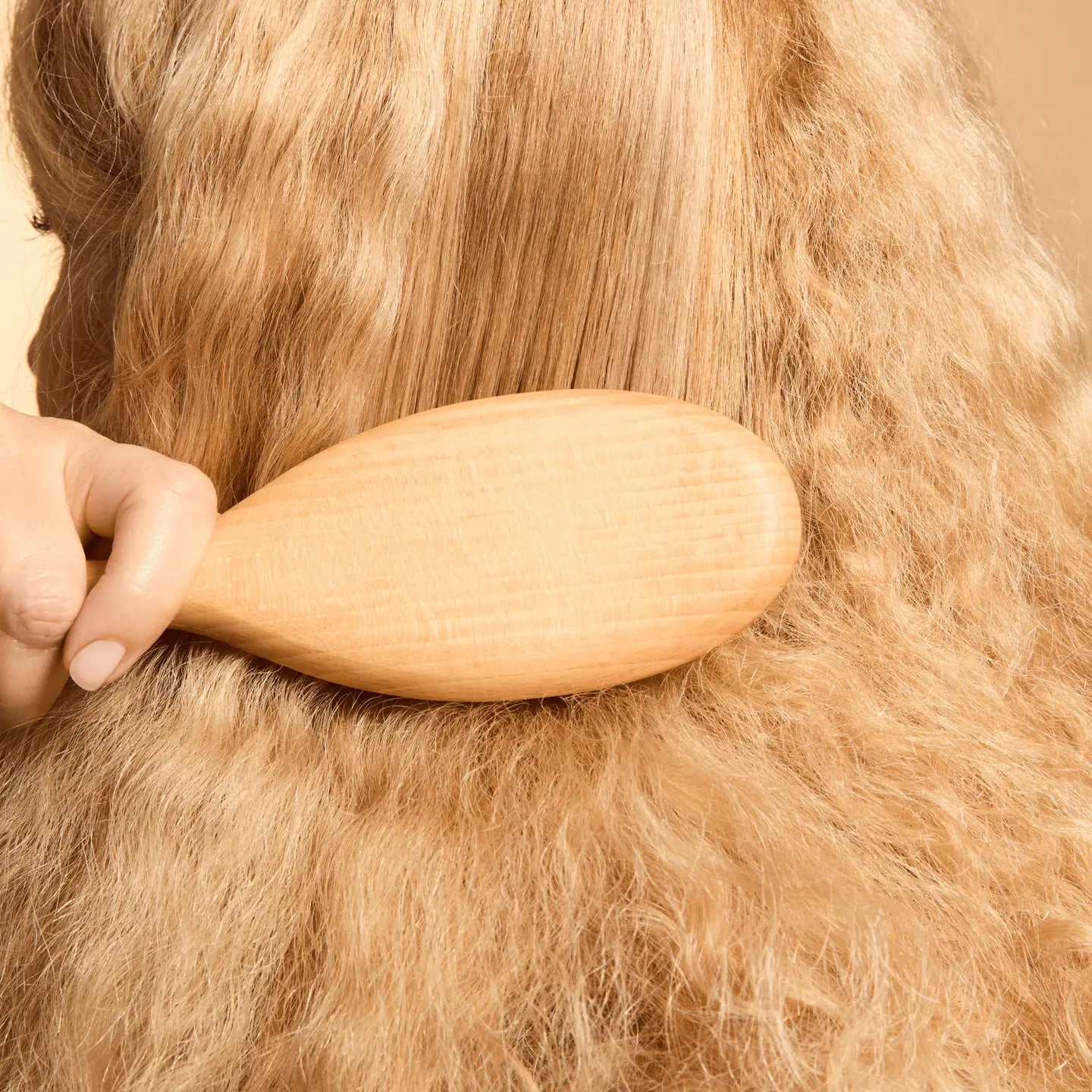 Margot - Brosse pneumatique en bois de hêtre – 100 % picots nylon - Boutique We Are ParisL'Artisan Brossier