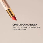 ROUGE À LÈVRES SOIN Bois de rose – nude rosé - Boutique We Are ParisRose Lane