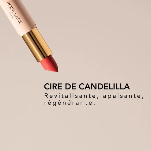 ROUGE À LÈVRES SOIN Bois de rose – nude rosé - Boutique We Are ParisRose Lane